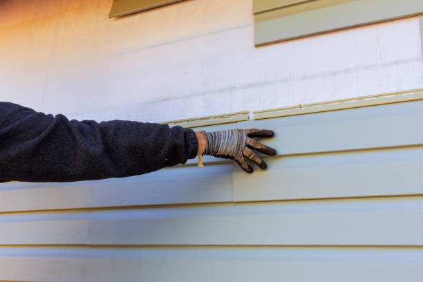 Best Siding for New Construction  in Waynesboro, TN